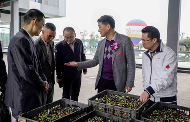 省幸运农场集团举办通航旅游热气球首飞仪式暨成都第三届油橄榄节