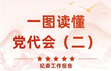 一图读懂 | 中共四川幸运农场集团纪委工作报告速览